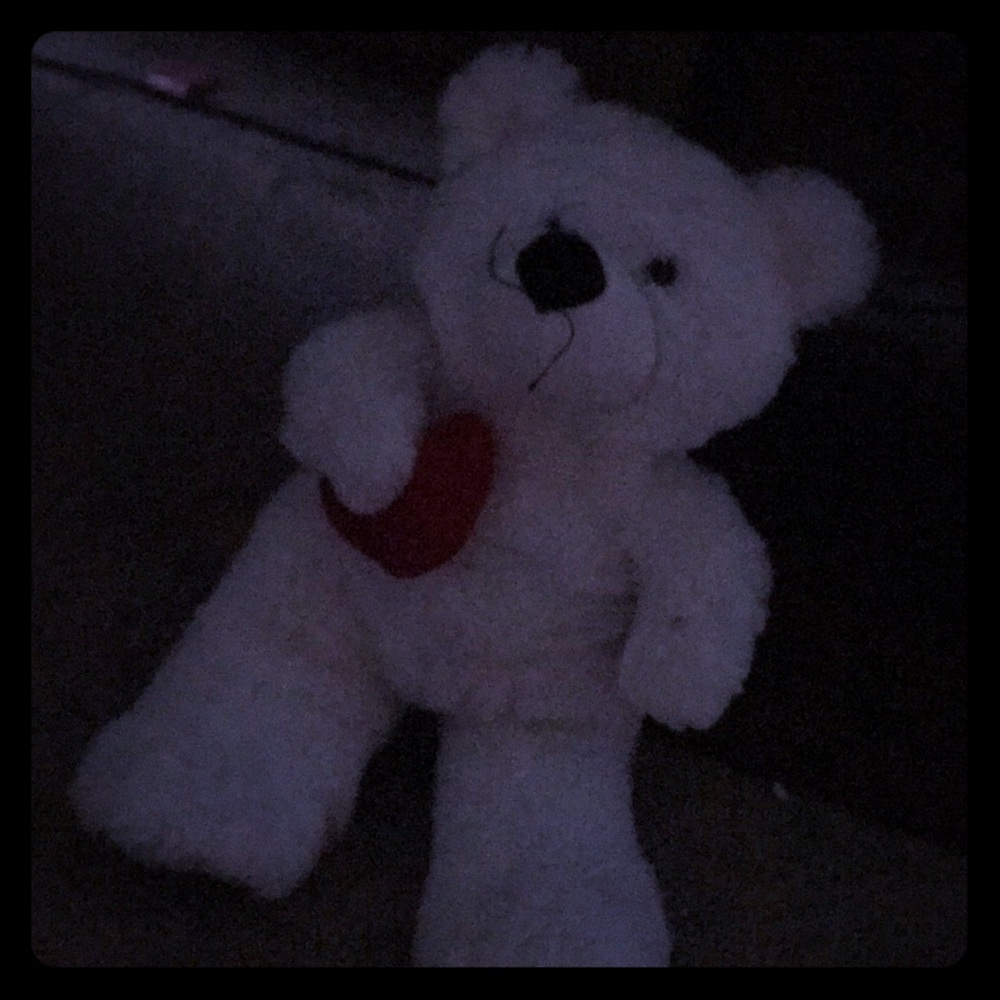 Stuffed animal